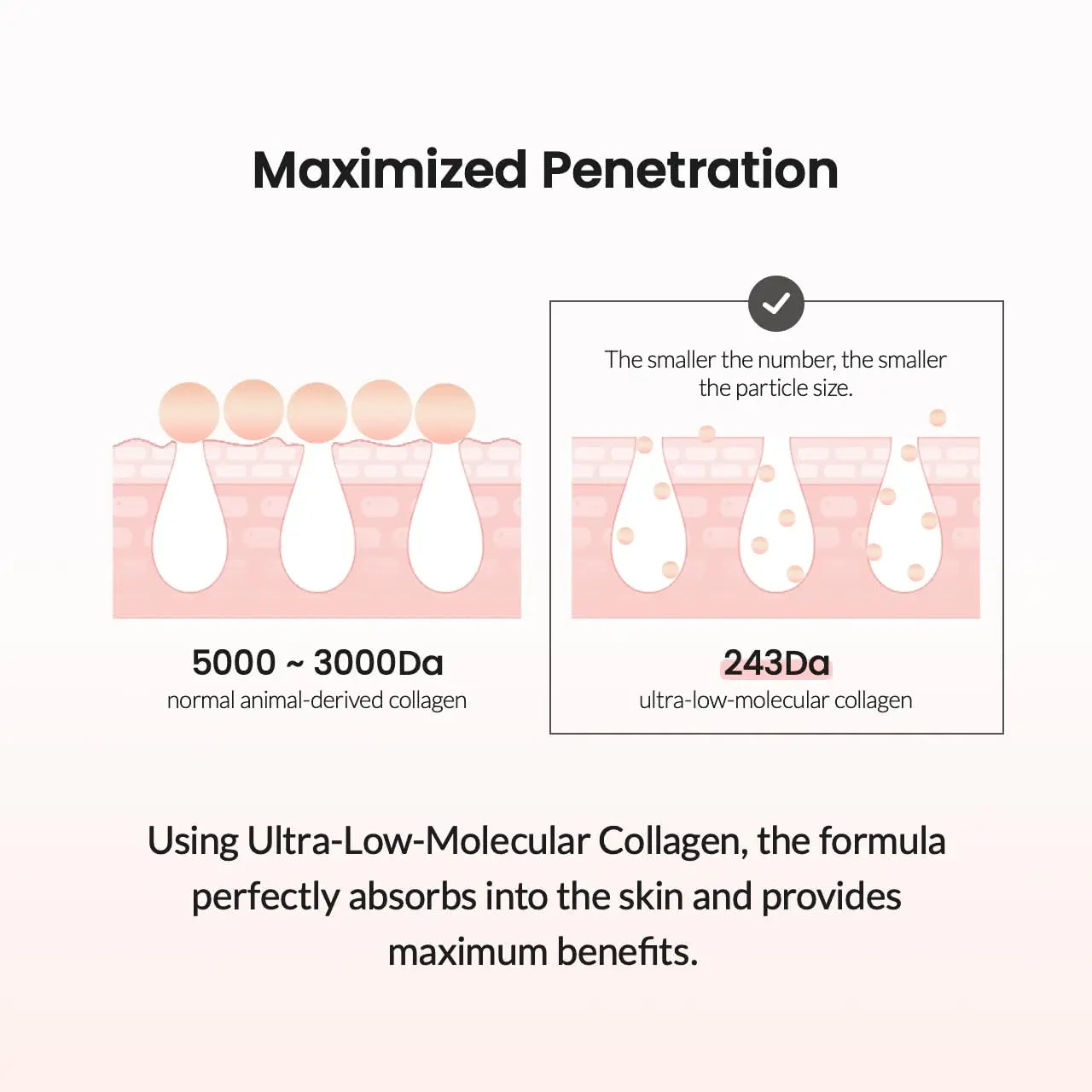 Anti-aging firming serum
